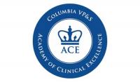 The Academy of Clinical Excellence (ACE) logo